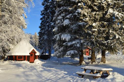 a cabin with a picnic table in the snow at Trysil Hyttegrend in Trysil