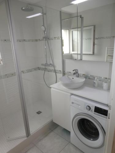 une salle de bain avec une machine à laver et un lavabo dans l'établissement Les Sables superbe T3 cadre unique 7mn à pied de la mer, à Les Sables-dʼOlonne