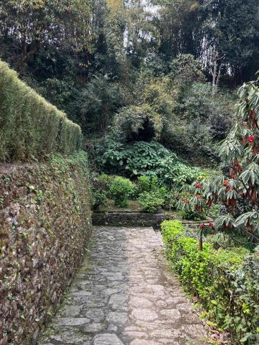 a stone path in a garden next to a hedge at MayaTels - Maya Eco Huts, Pelling in Pelling
