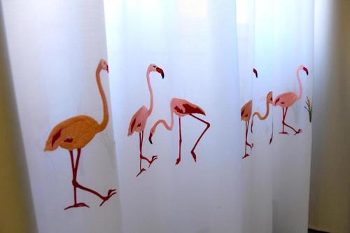 a group of flamingos walking on a white wall at Alghero Sunrise in Alghero