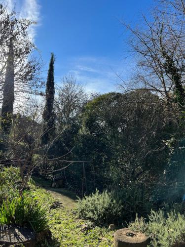 Φυσικό τοπίο κοντά σε αυτή η παραθεριστική κατοικία