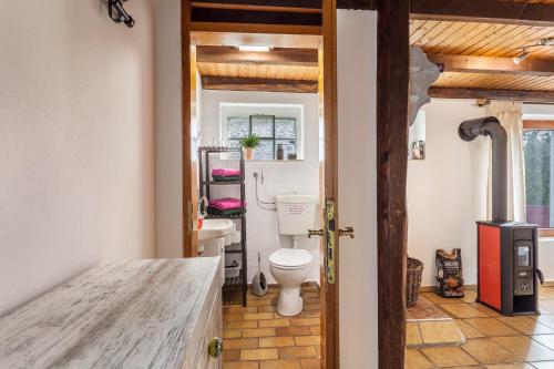 a bathroom with a toilet and a sink at Ferienwohnungen Zum Hasenbahnhof in Kirchhundem