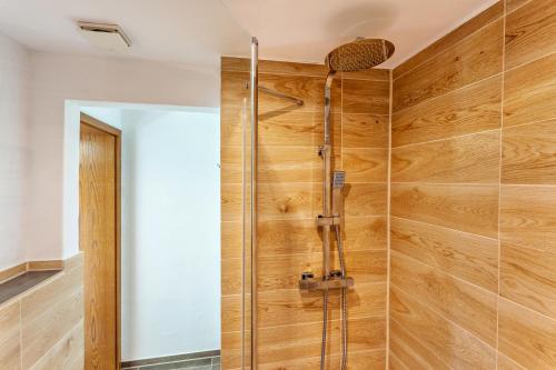 a shower in a bathroom with wooden walls at Ferienwohnungen Zum Hasenbahnhof in Kirchhundem