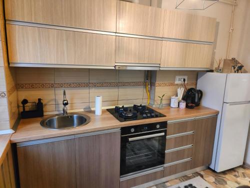 a small kitchen with a sink and a refrigerator at Mountain View Apartment in Petroşani