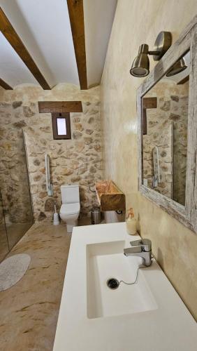 a bathroom with a sink and a toilet at La Tina, la pariera in Santiago de la Espada
