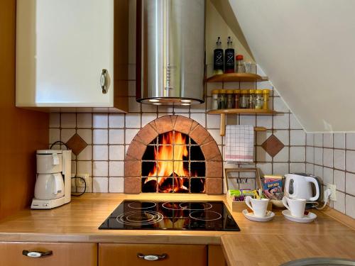 a kitchen with a stove with a fire oven at Apartment Crystal Rose in Kranjska Gora