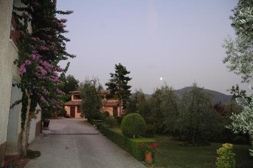 a house with a driveway leading to a yard with flowers at Agriturismo La Pila in Ferentillo