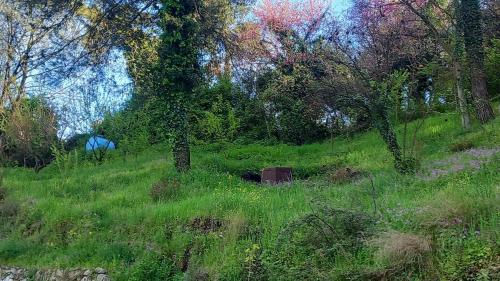 Foto dalla galleria di Tiny house a Shkodër