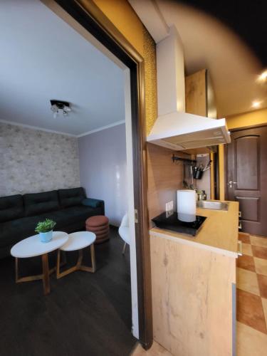 Cuina o zona de cuina de Classic Apartment