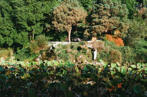 a garden with lots of plants and trees at Relais La Foleia - Luxury Villa with private lake in Veruno