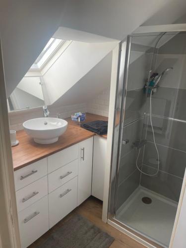 une salle de bain avec un lavabo et une douche en verre dans l'établissement Maison avec piscine 24heures du Mans, à Yvré-lʼÉvêque