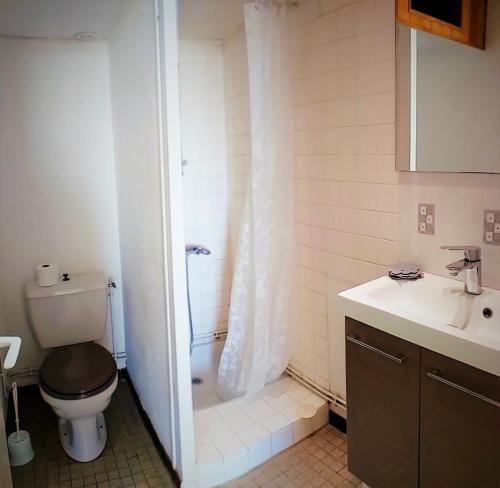 une salle de bain avec toilettes, douche et lavabo dans l'établissement Logement de vacances 4 pers proche plan d'eau, à L'Aiguillon-la-Presqu'île