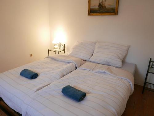 two beds with pillows on them in a bedroom at Haus am Hafen in Schaprode