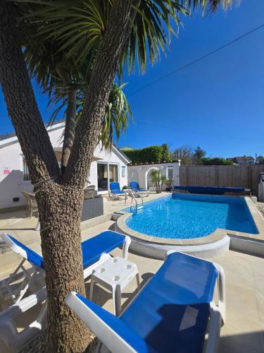 a swimming pool with chairs and a palm tree at Family Bungalow with Private Pool in Kilgetty