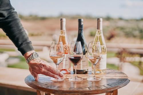 a person holding three wine glasses on a table at Quinta dos Vales Wine Estate in Estômbar
