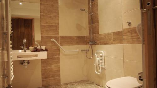 a bathroom with a shower with a toilet and a sink at Arcanson in Méaudre