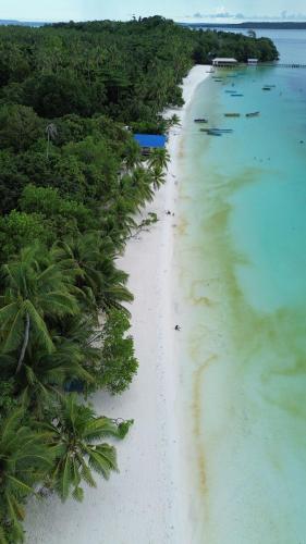 an aerial view of a beach with trees and water at Yohana Cottage in Tual