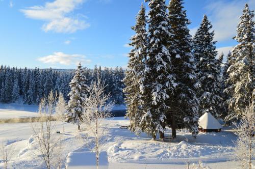 a cabin in a snowy forest with snow covered trees at Trysil Hyttegrend in Trysil