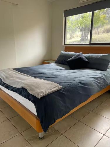 a large bed with blue sheets and a window at Farm Stay - 2 Bedroom cottage in Murphys Creek