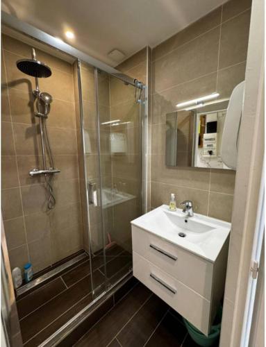 une salle de bain avec une douche et un lavabo et une douche dans l'établissement Charmant studio équipé, à Oullins