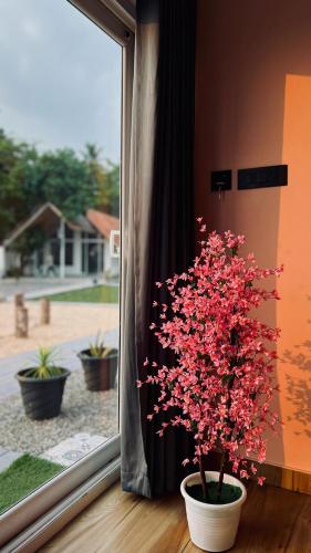 a plant with pink flowers sitting in a window at Beach House Varkala by Palmyra in Varkala