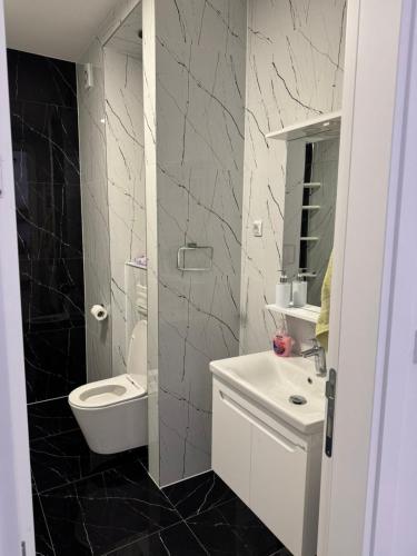a bathroom with a white toilet and a sink at Stan na dan Apartman Harmonija in Zalužani