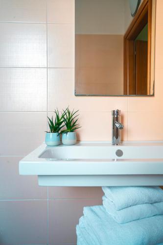 a bathroom with a sink with two plants on it at Hotel Formula Int. & Puravita SPA in Rosolina