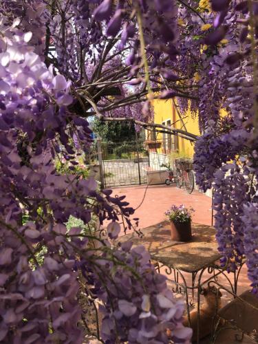 Κήπος έξω από το Il Lanificio airb&b