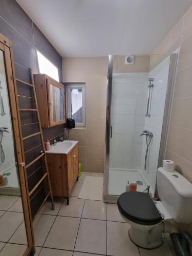 une salle de bain avec toilettes, douche et lavabo dans l'établissement Le Pierre #Quartier Historique#Calme, à Clermont-Ferrand