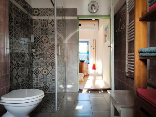 a bathroom with a toilet and a walk in shower at Henye Vintage Home a Káli-medencében in Balatonhenye