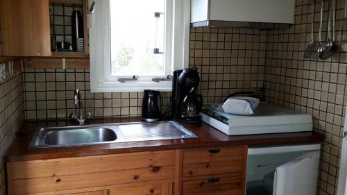 een keuken met een wastafel en een raam bij Amalia in Nes