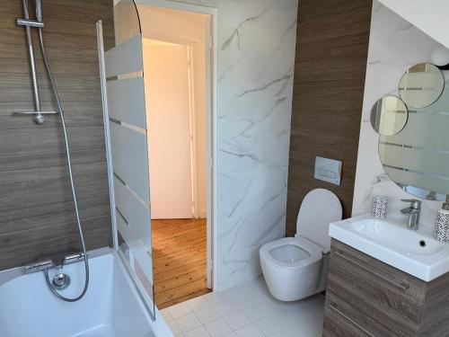 une salle de bain avec toilettes, lavabo et douche dans l'établissement L'elegante - Proche centre, à Saint-Brieuc
