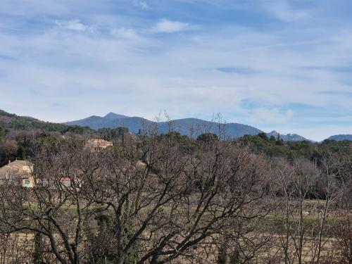a group of trees with mountains in the background at Appartement 80m2 entre vignes et Mont Ventoux in Vaison-la-Romaine
