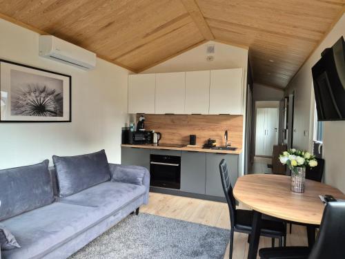 ein Wohnzimmer mit Couch und Tisch in der Unterkunft Na Skraju Lasu Bielinek in Cedynia