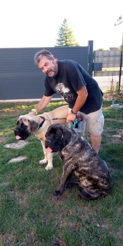 a man standing next to two dogs in the grass at La Maison in Mirebeau-sur-Bèze