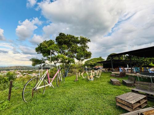 a bike sitting in the grass in a field at TURULEKA Hostel in Roldanillo
