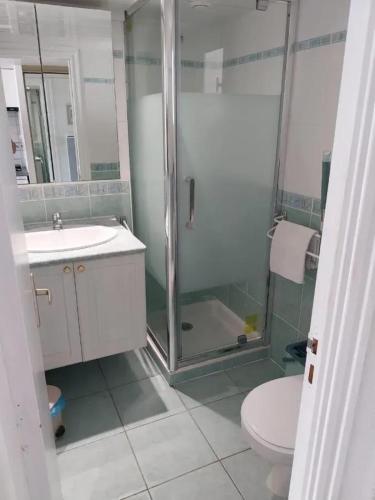 une salle de bain avec une douche, des toilettes et un lavabo dans l'établissement Appartement avec vue sur la mer à Saint-Gildas-de-Rhuys, 24 m², à Saint-Gildas-de-Rhuys