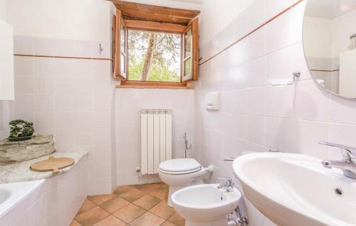 a bathroom with a toilet and a sink and a mirror at Baciola in Ortignano Raggiolo