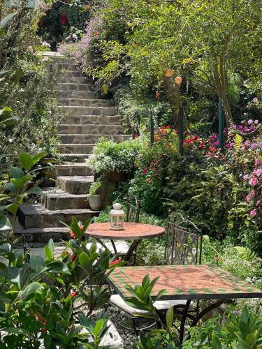 Zahrada ubytování BICH DAO Boutique - Dalat