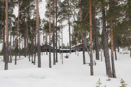 a cabin in the woods in the snow at Norlight Cottages Ivalo - Aurinko East in Ivalo