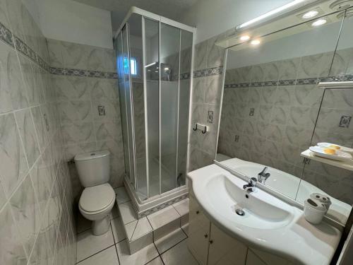 une salle de bain avec toilettes, lavabo et douche dans l'établissement Appartement T2 avec Parking et Animaux admis, Capacité 4, Cap d'Agde - FR-1-749-83, au Cap d'Agde