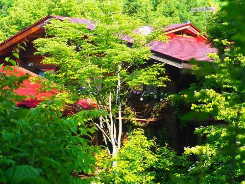 a tree in front of a red house surrounded by trees at Snowfall Meteor 飛雪流星 in Kaminoyama