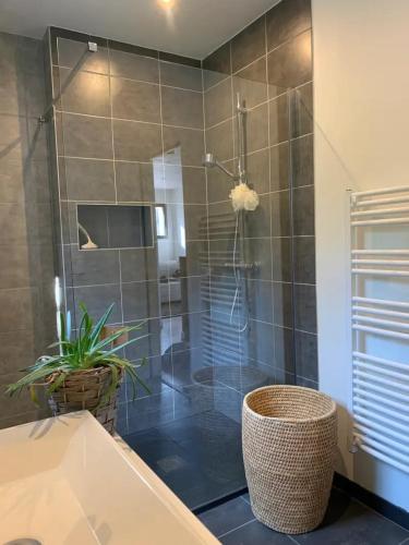 La salle de bains est pourvue d'une douche avec une plante. dans l'établissement Bright Villa On Forest Edge In Cavalaire, à Cavalaire-sur-Mer