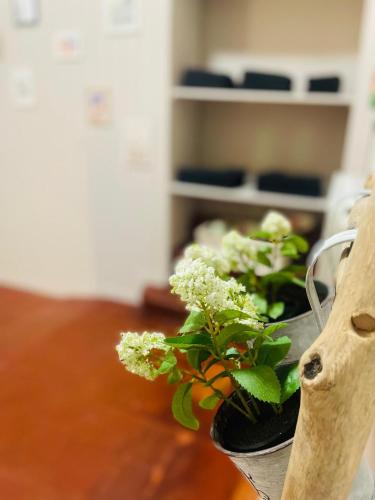 a couple ofotted plants sitting on a table at Maison Camilla in Lovere