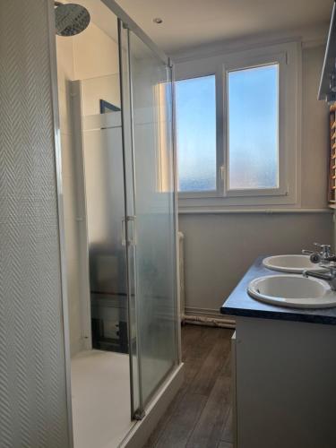 une salle de bain avec douche et lavabo dans l'établissement Grand T3 lumineux au Mans - spécial 24H, Moto GP, au Mans