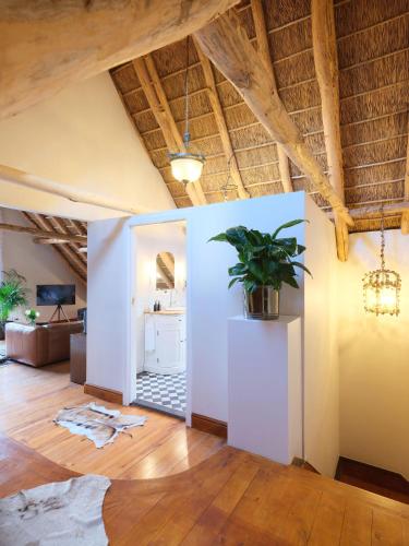 a living room with a potted plant on a white wall at Adara Palmiet Valley Luxurious Boutique Farm Hotel in Paarl