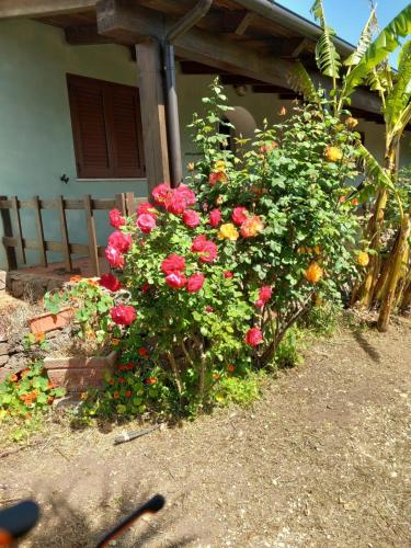 Taman di luar Agriturismo Su Tiresi