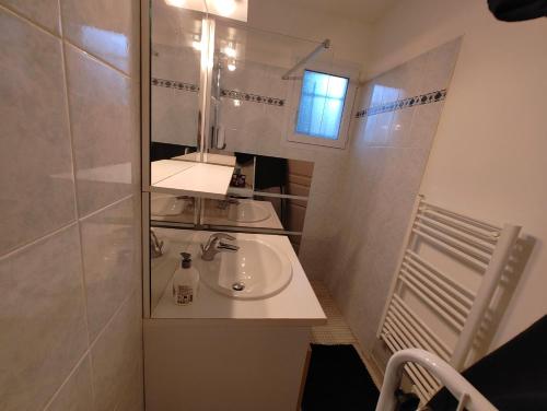a small bathroom with a sink and a mirror at Gîte des Pleiades in Villemoirieu