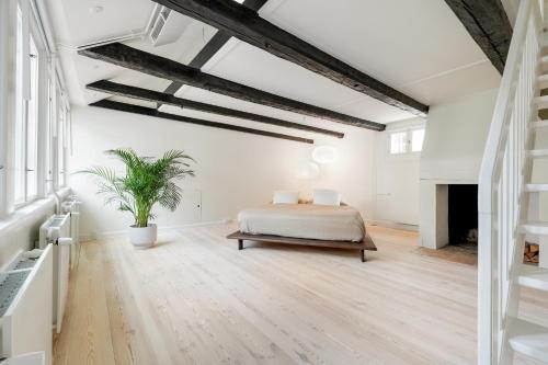 a bedroom with a bed and a potted plant at Luxury Apartment GBT5 in Copenhagen