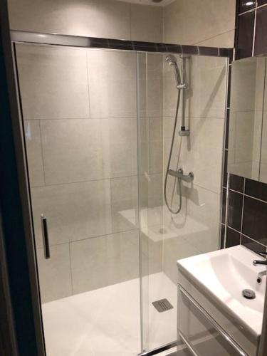une douche avec une porte vitrée à côté d'un lavabo dans l'établissement Le Nid de Boismont, à Boismont